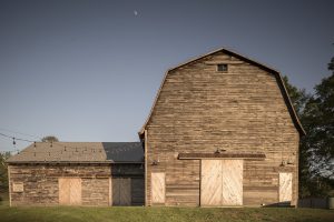 Project Gallery Image